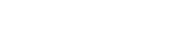 WiseTech Academy